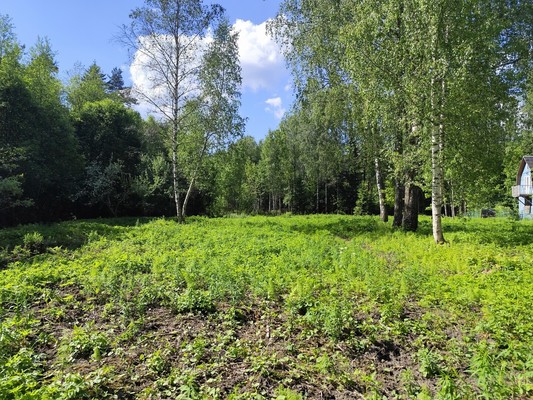 Продам участок 36,1 соток, ИЖС, Ленина пр-кт, 71, Зеленогорск г, 0 км от города