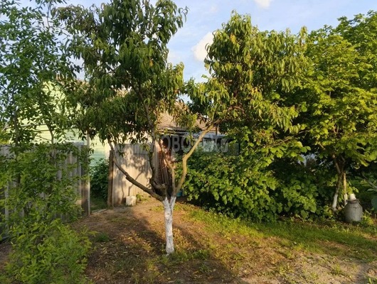 Продам дом, Береговая ул, 18, Новодеревянковская ст-ца, 0 км от города