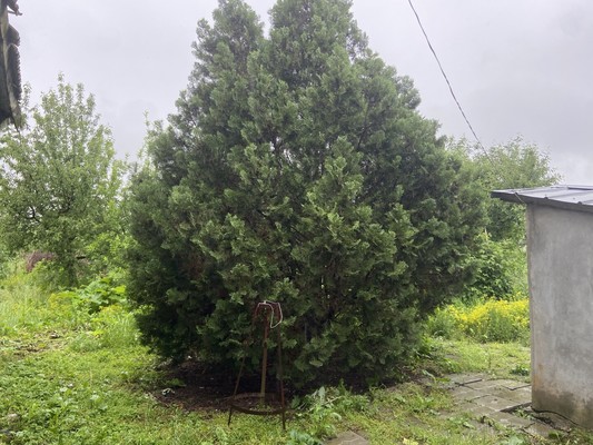 Продам дом, Кирова ул, 33, Урвань с, 0 км от города