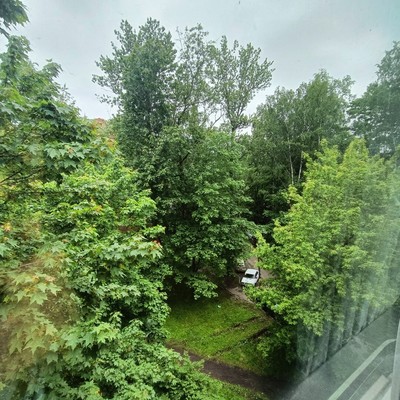 Продам двухкомнатную (2-комн.) квартиру, Шелгунова ул, 8Б, Санкт-Петербург г