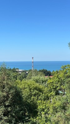 Продам однокомнатную (1-комн.) квартиру, Пирогова (Центральный р-н) ул, 20, Сочи г