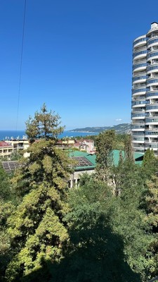 Продам однокомнатную (1-комн.) квартиру, Пирогова (Центральный р-н) ул, 20, Сочи г