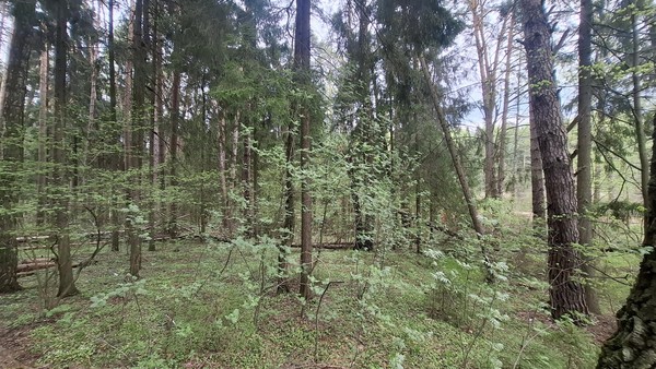Продам участок 11 соток, ИЖС, Новая ул, Мышенское с, 0 км от города