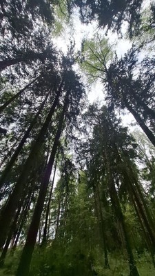 Продам участок 11 соток, ИЖС, Новая ул, Мышенское с, 0 км от города