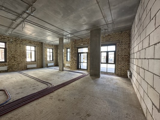 Сдам коммерческое помещение 92 м2, Московская ул, 30, Казань г