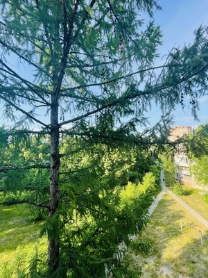 Продам трехкомнатную (3-комн.) квартиру, Подольская ул, 6кА, Северово д