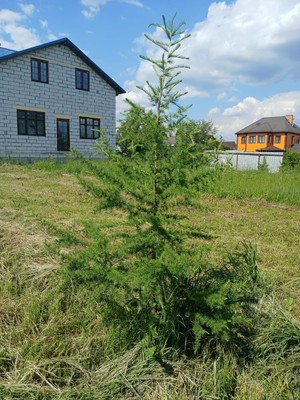 Продам дом, Бирюзовая ул, 13, Чехов г, 0 км от города