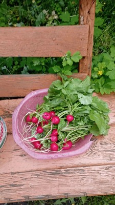 Продам дом, 12, Верхняя Сысерть п, 0 км от города