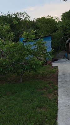 Продам дом, Ленина ул, 267, Синявское с, 0 км от города