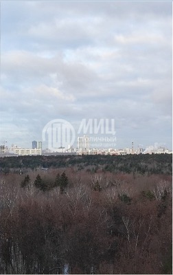 Продам однокомнатную (1-комн.) квартиру, Веерная ул, 46, Москва г