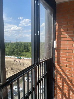 Сдам однокомнатную (1-комн.) квартиру, Севастьянова ул, 34к1, Колпино г
