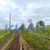 Продам участок 9,22 соток, Садоводство, Новая ул, Дрокино с, 0 км от города