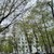 Сдам однокомнатную (1-комн.) квартиру, Ленинградское ш, 24к2, Москва г