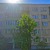 Продам однокомнатную (1-комн.) квартиру, 10, Константиново с