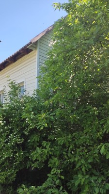 Продам дом, Луначарского ул, Родники дп, 0 км от города