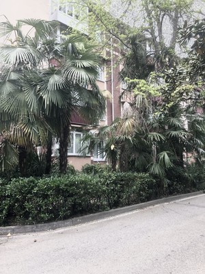 Продам трехкомнатную (3-комн.) квартиру, Цветной бульвар (Центральный р-н) ул, 19, Сочи г
