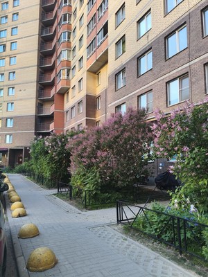 Продам однокомнатную (1-комн.) квартиру, Новая ул, 7, Мурино п