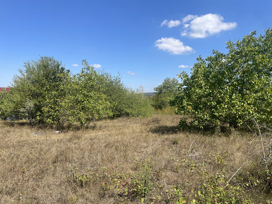 Продам участок 6 соток, Фермерское хоз., Медик снт, Лозовое с, 0 км от города