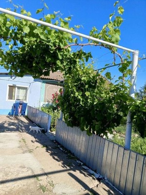 Продам дом, Чкалова ул, 8, Янтарное с, 0 км от города