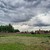 Продам участок 40 соток, Садоводство, НП Ромашкино тер, 30, Раменское г, 0 км от города