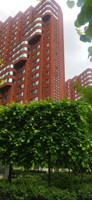 Продам однокомнатную (1-комн.) квартиру, Маршала Жукова пр-кт, 39Ак2, Москва г