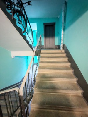 Продам однокомнатную (1-комн.) квартиру, Балашова ул, 3к1, Всеволожск г