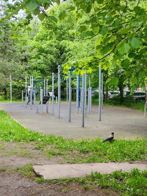 Продам однокомнатную (1-комн.) квартиру, Балашова ул, 3к1, Всеволожск г