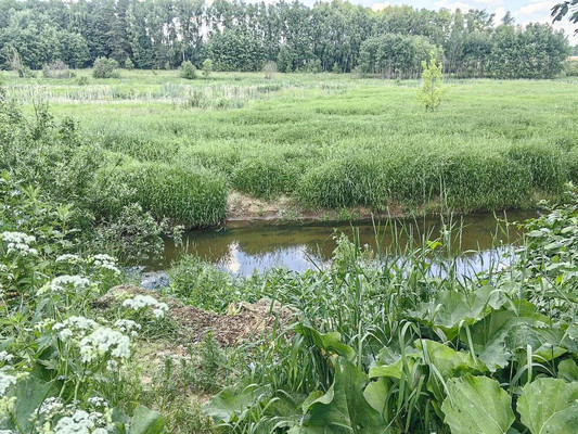 Продам коттедж, СНТГ Мотяково тер, 36, Мотяково д, 0 км от города