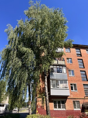 Продам однокомнатную (1-комн.) квартиру, Бородинская ул, 18, Подольск г