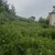Продам дом, Трактовая ул, 66, Миасс г, 0 км от города