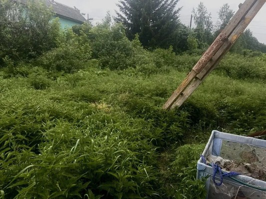 Продам дом, Трактовая ул, 66, Миасс г, 0 км от города