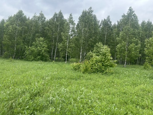 Продам участок 15 соток, ИЖС, Октябрьская ул, Ленинск п, 0 км от города