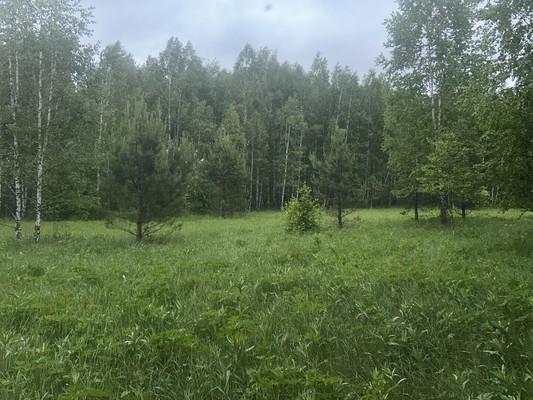 Продам участок 15 соток, ИЖС, Октябрьская ул, Ленинск п, 0 км от города