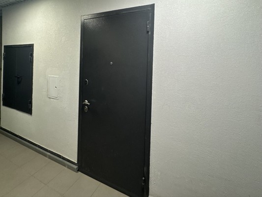Продам однокомнатную (1-комн.) квартиру, Рахманинова ул, 15, Борисовка д