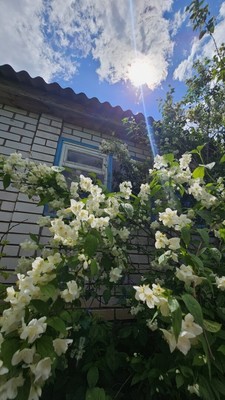Продам дом, 1-й Матросова проезд, 6, Октябрьский г, 0 км от города