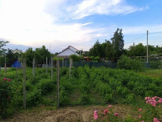 Продам дом, Чкалова ул, 8, Янтарное с, 0 км от города