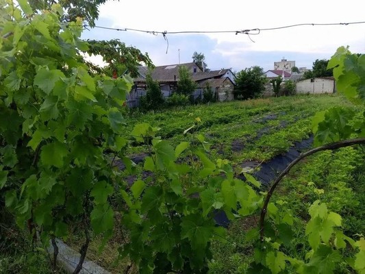 Продам дом, Чкалова ул, 8, Янтарное с, 0 км от города