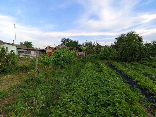 Продам дом, Чкалова ул, 8, Янтарное с, 0 км от города