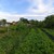 Продам дом, Чкалова ул, 8, Янтарное с, 0 км от города