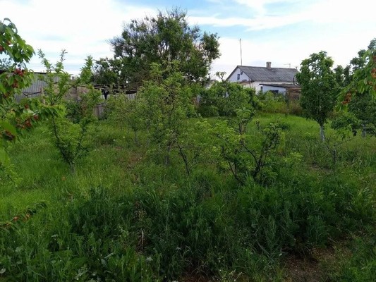 Продам дом, Чкалова ул, 8, Янтарное с, 0 км от города
