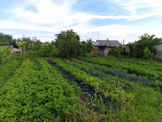 Продам дом, Чкалова ул, 8, Янтарное с, 0 км от города