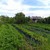 Продам дом, Чкалова ул, 8, Янтарное с, 0 км от города