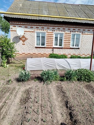 Продам дом, Новая ул, 10/2, Куракино с, 0 км от города