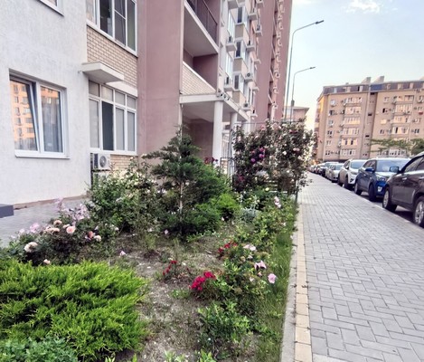 Продам однокомнатную (1-комн.) квартиру, Владимирская ул, 55кв, Анапа г