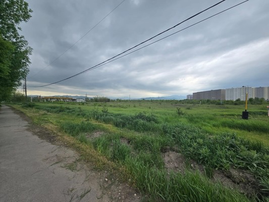 Продам землю для коммерческого использования 91 соток, Садоводство, Мира ул, 1, Шалушка с