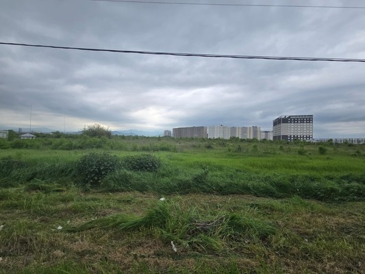 Продам землю для коммерческого использования 91 соток, Садоводство, Мира ул, 1, Шалушка с