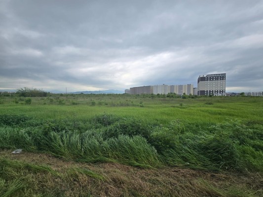 Продам землю для коммерческого использования 91 соток, Садоводство, Мира ул, 1, Шалушка с