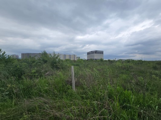 Продам землю для коммерческого использования 91 соток, Садоводство, Мира ул, 1, Шалушка с