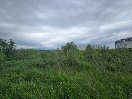 Продам землю для коммерческого использования 91 соток, Садоводство, Мира ул, 1, Шалушка с