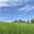 Продам участок 4,8 соток, Фермерское хоз., сдт Нива-1 тер, 142, Нальчик г, 0 км от города
